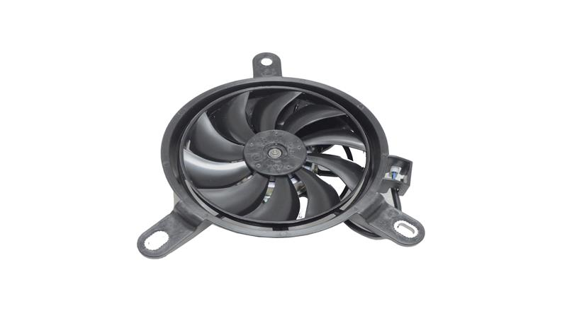 FAN (RZ250-S)