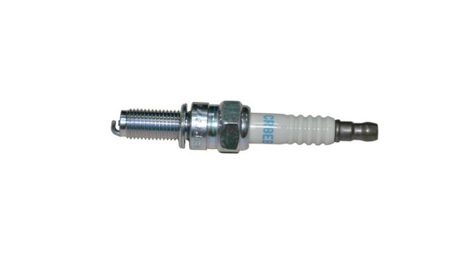 BUJİ (VIESTE249)ZAFFERANO