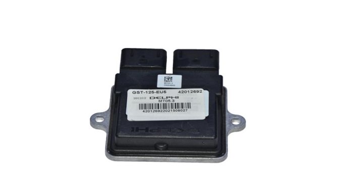 BEYİN (DELPHI) (WILDCAT)