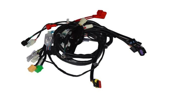 ELEKTRİK TESİSATI (WILDCAT)