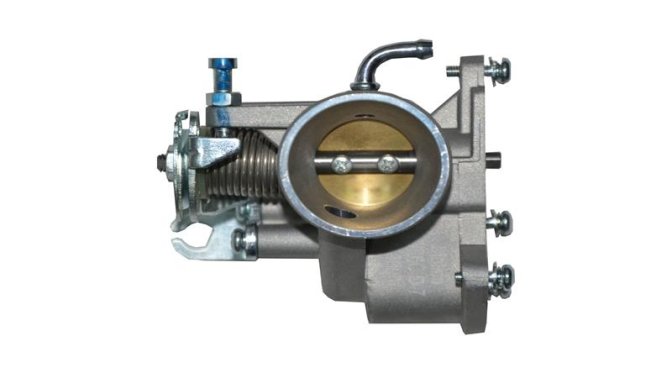 GAZ KELEBEĞİ BOŞ (WILDCAT)