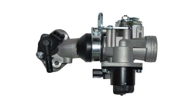 GAZ KELEBEĞİ SET (WILDCAT)