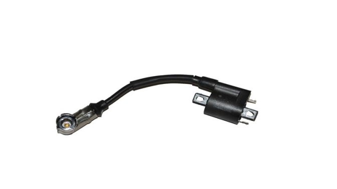 ATEŞLEME BOBİNİ (BAYBERRY125)RAVIDA MAX